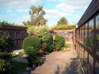 A view of the cattery on a sunny day